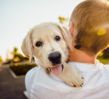 "Massage humain, massage canin !"